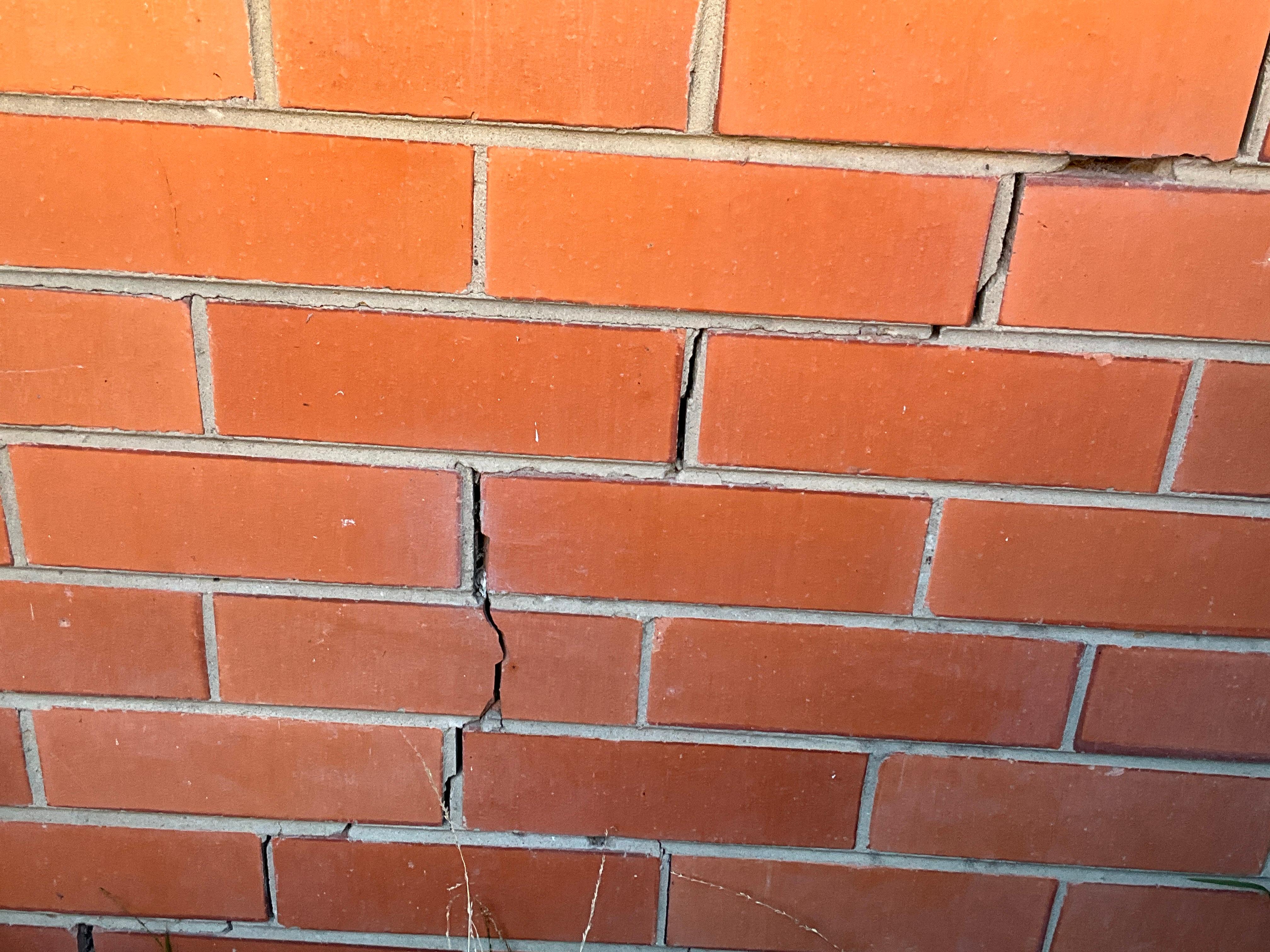 Images ACE Building and Pest Inspection