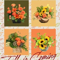 Images City Florist & Gift Shop