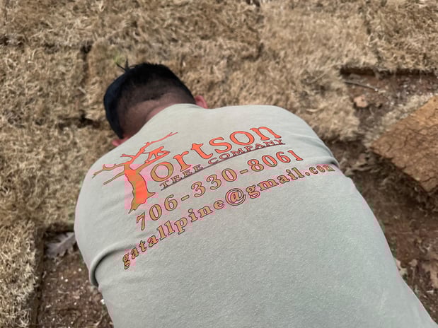 Images Fortson Tree Company