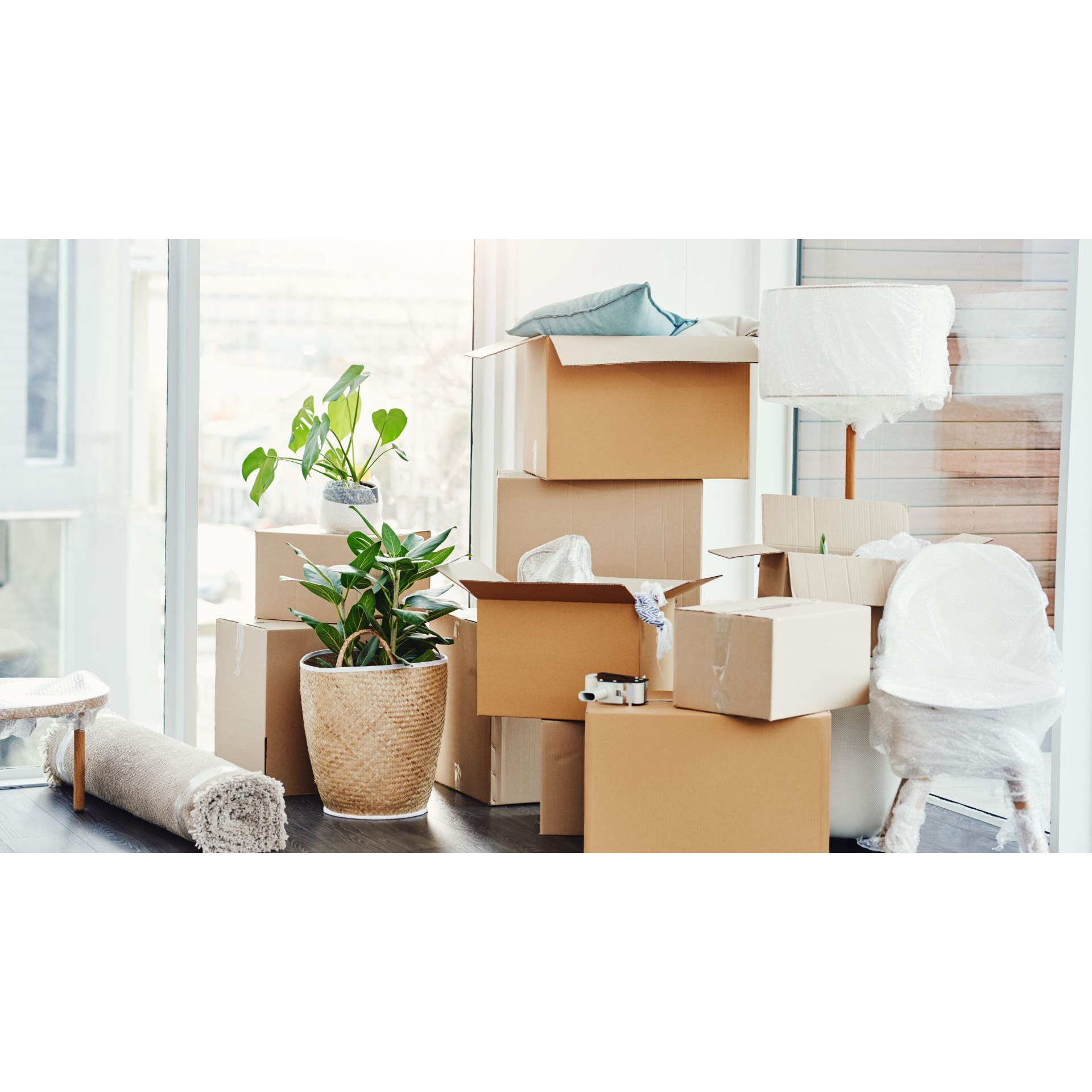 RR-Entrümpelungen, Akazienweg 29 in Darmstadt