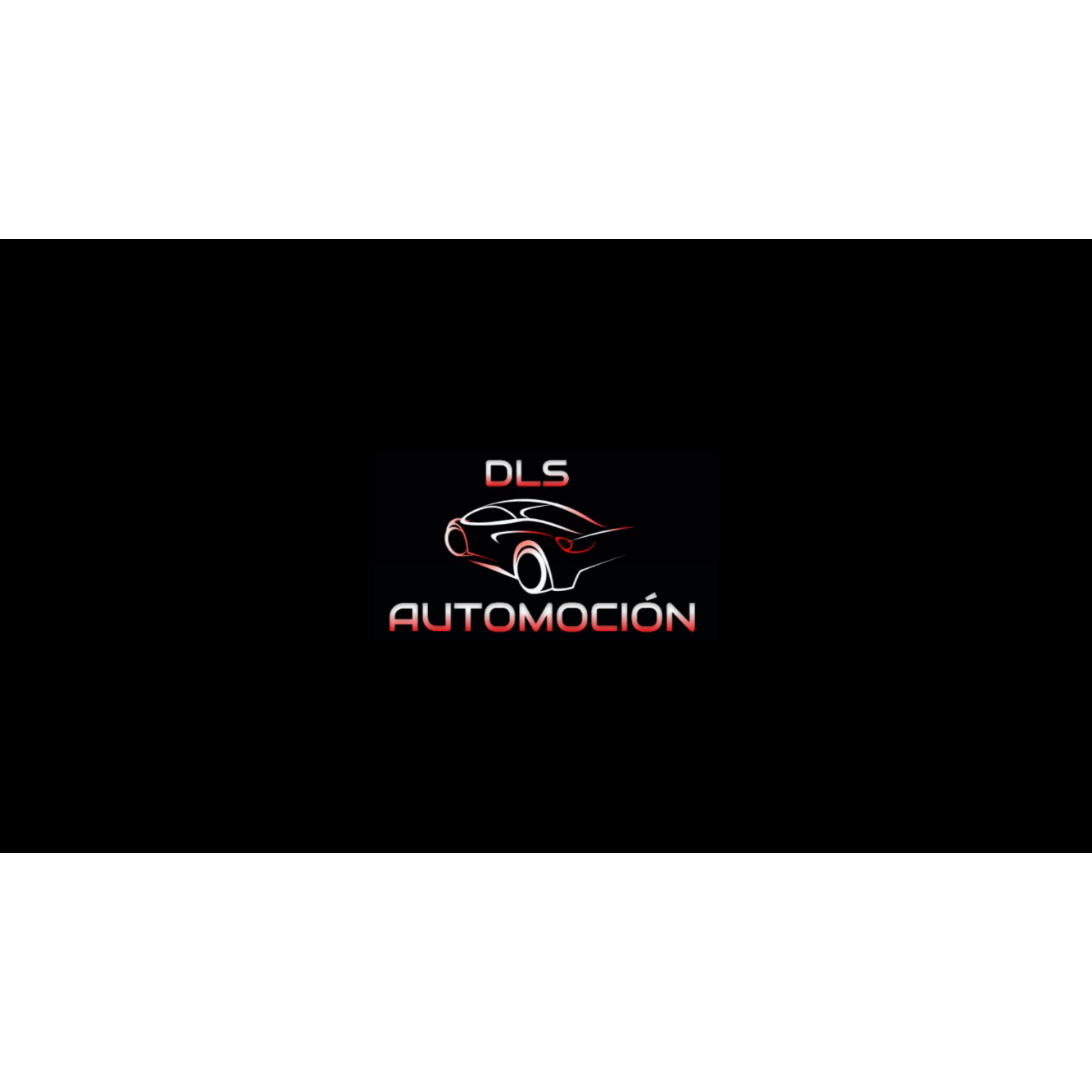 Dls Automoción Logo