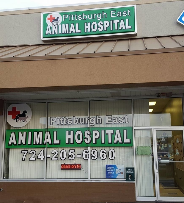 Images Pittsburgh East Animal Hospital
