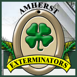 Amherst Exterminators