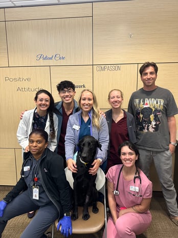 Images VCA West Los Angeles Animal Hospital