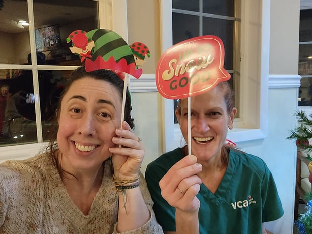 Images VCA Morris Plains Animal Hospital
