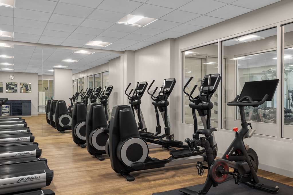 Health club  fitness center  gym