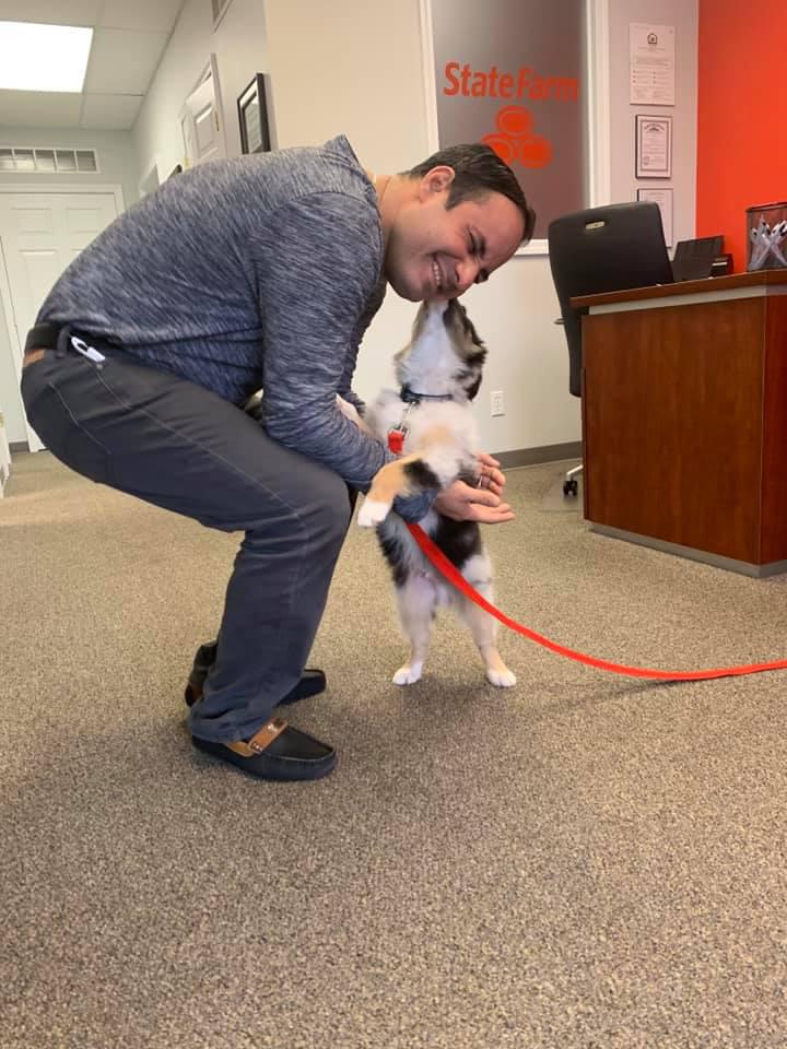 Bring your dog to work day!