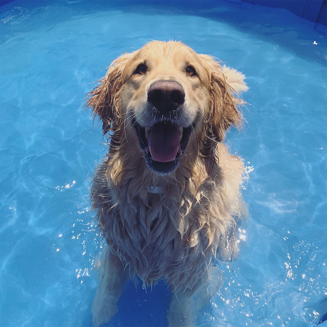 A happy guest enjoying a swim!