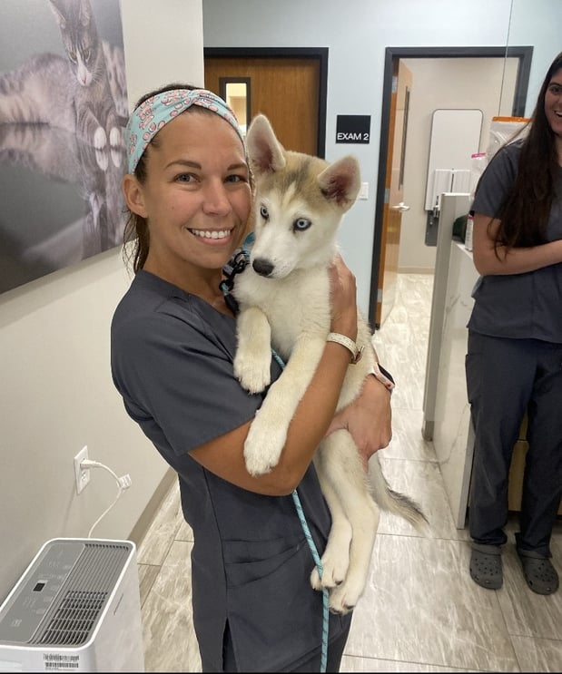 Images Shrewsbury Animal Hospital