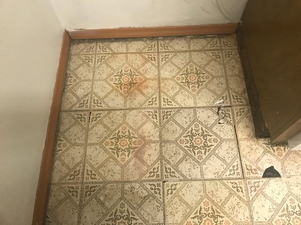 Images Rex Environmental