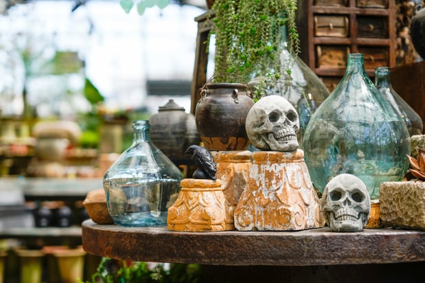 Images Mahoney's Garden Center