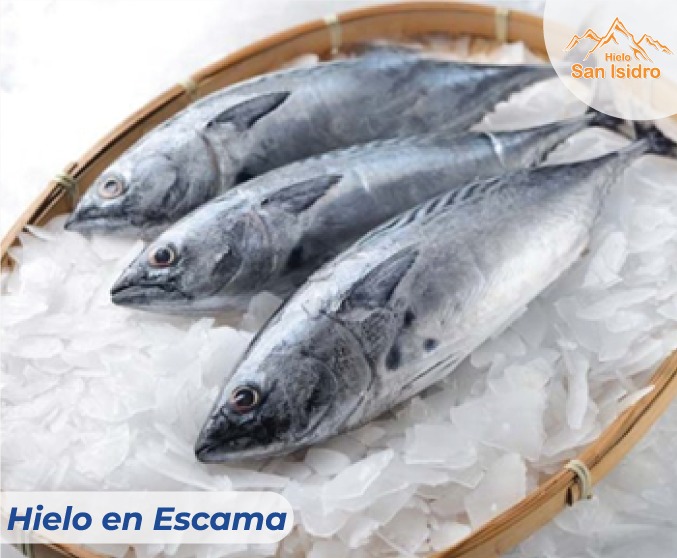 Images Hielo San Isidro