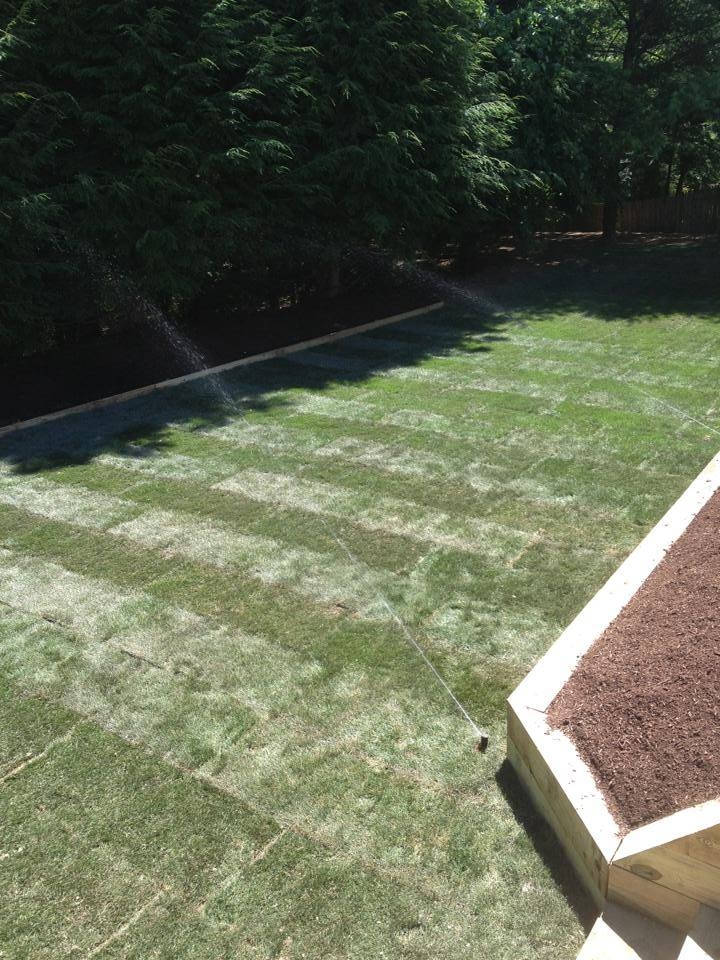 Triple G Lawn Fertilization