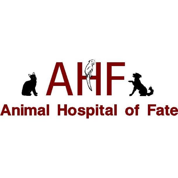 Animal Hospital of Fate