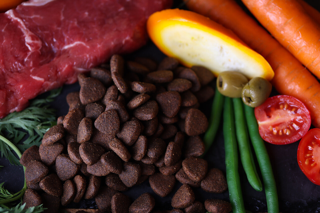 Bilder Green Pet Shop