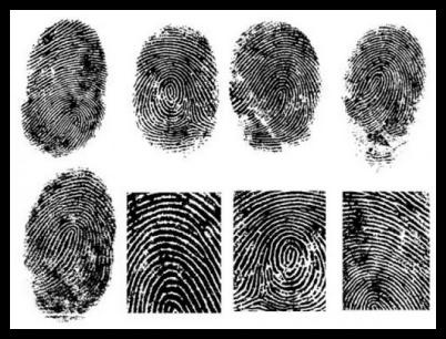 Images Centauro Detective Srl