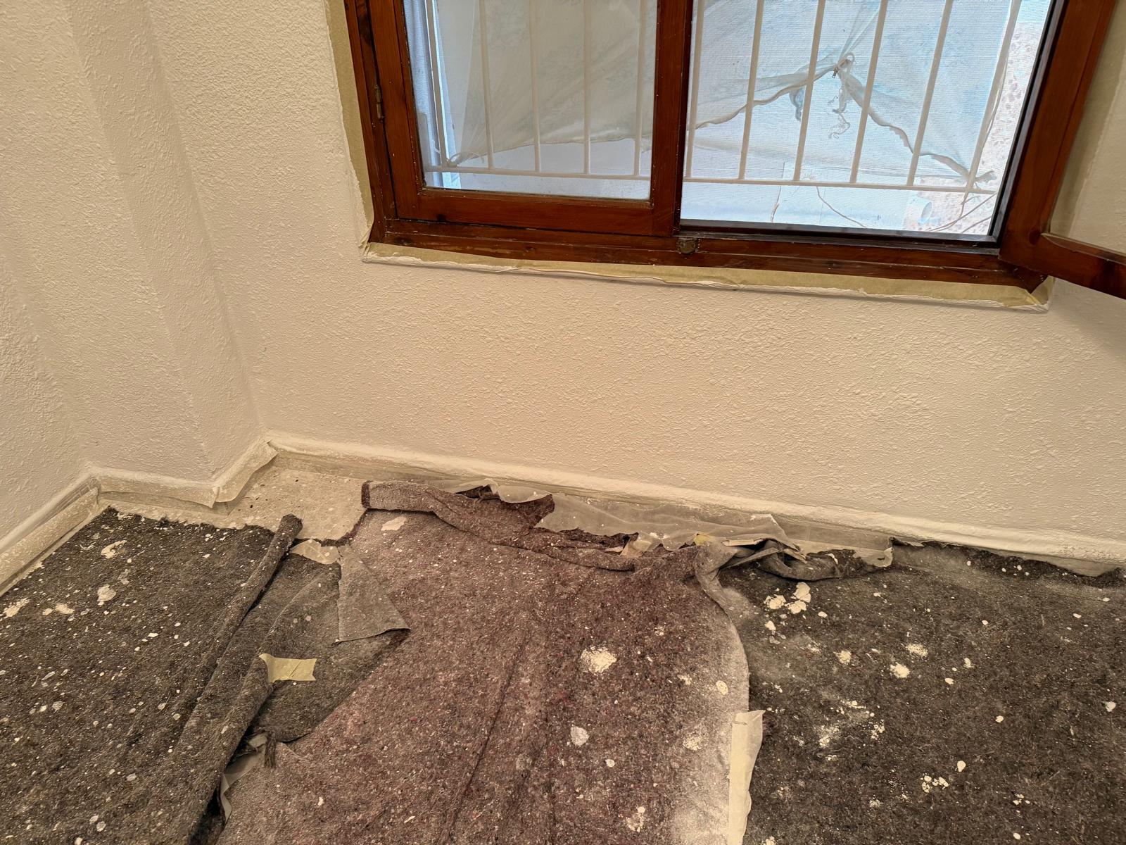 Images Global & Reform