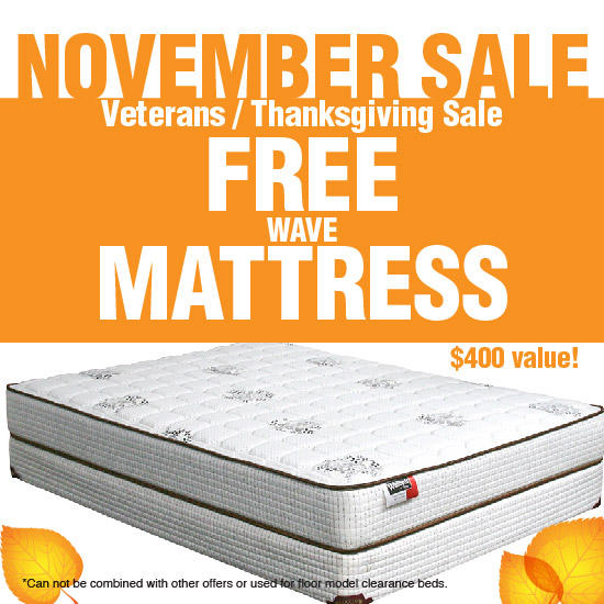 November Sale at Wall Beds N More !

Get a free wave matters with your wall bed purchase!