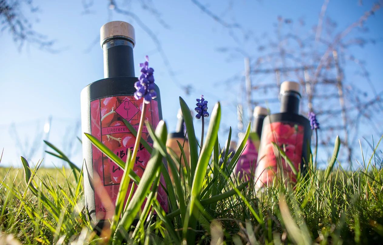 Likörerei Mühlberger e.U., Grabenweg 11 in Gallneukirchen