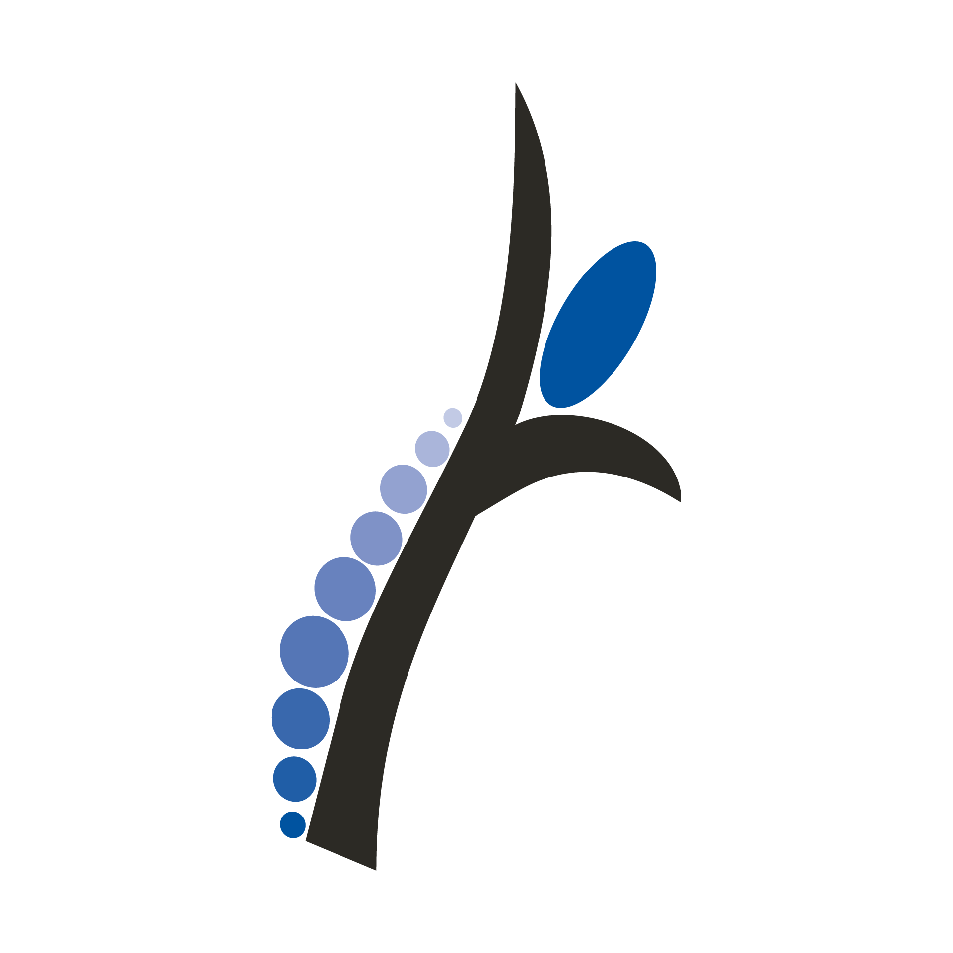 Behm Muscle & Joint Clinic