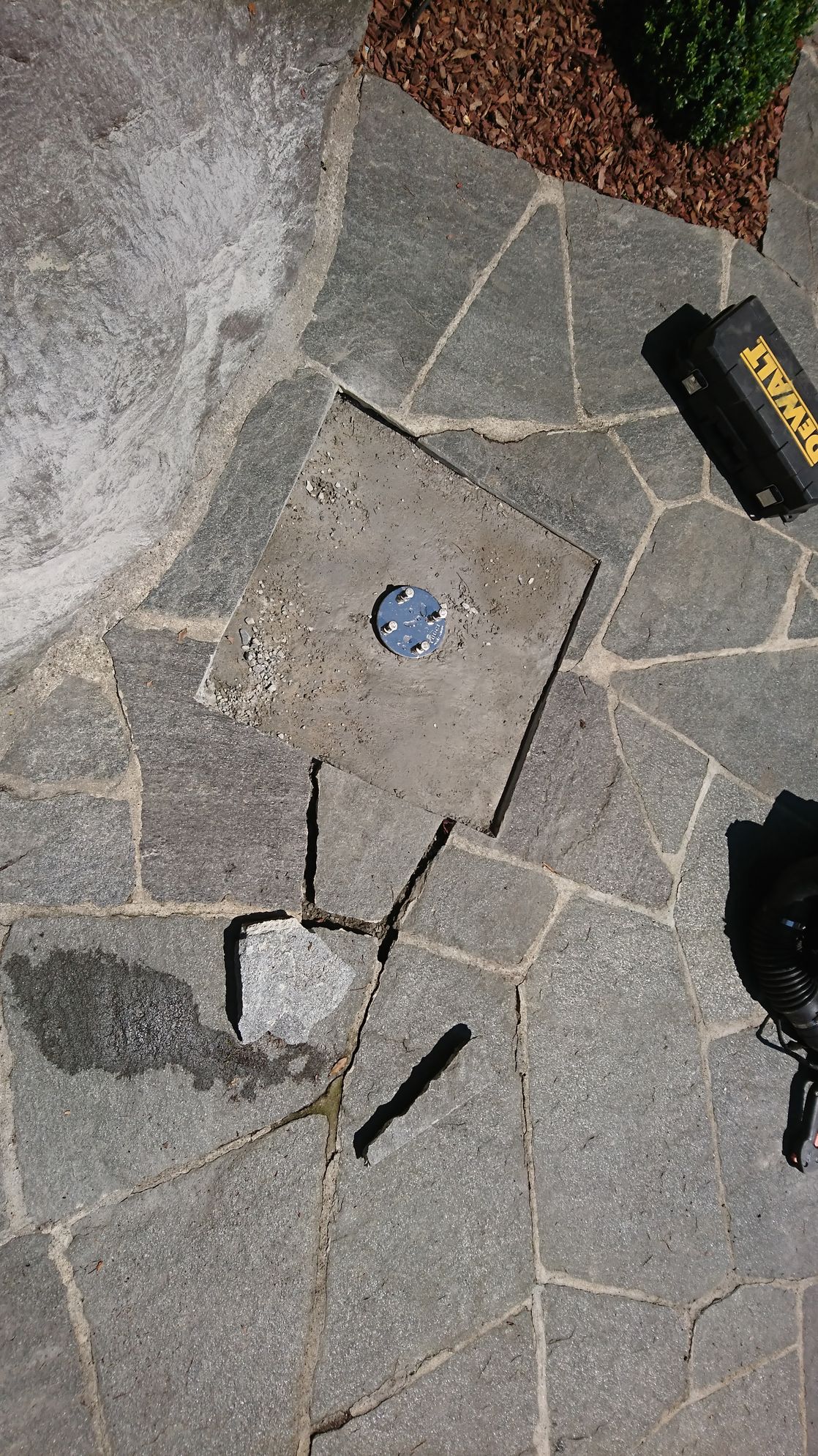 Bilder Wistaria Sagl
