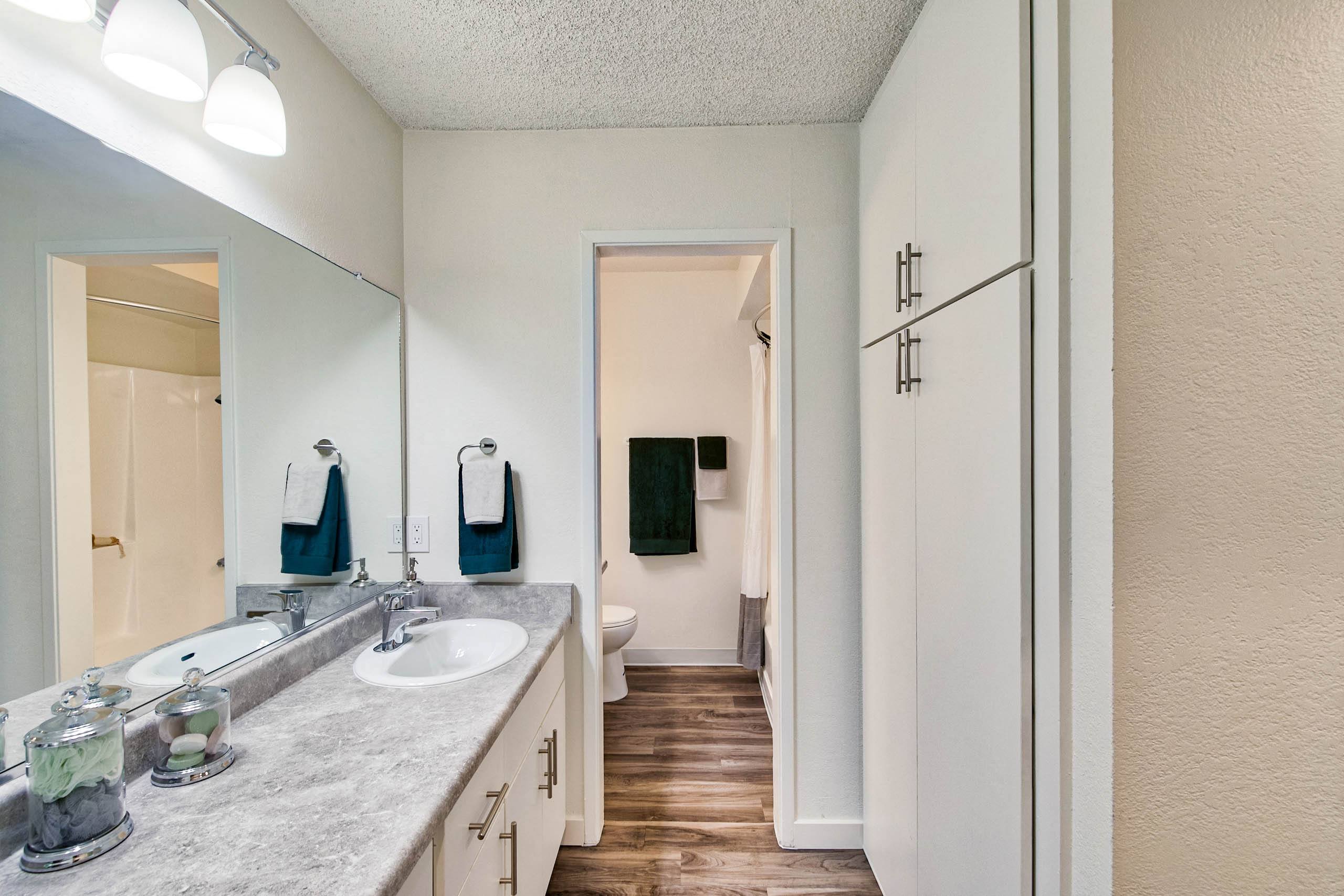 a bathroom with a sink and a mirror and a closet