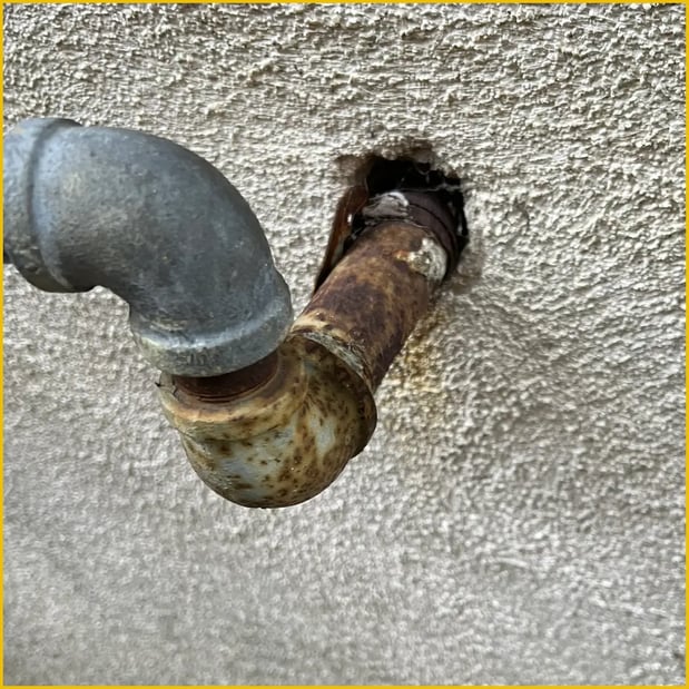 Images Browny Pest Control