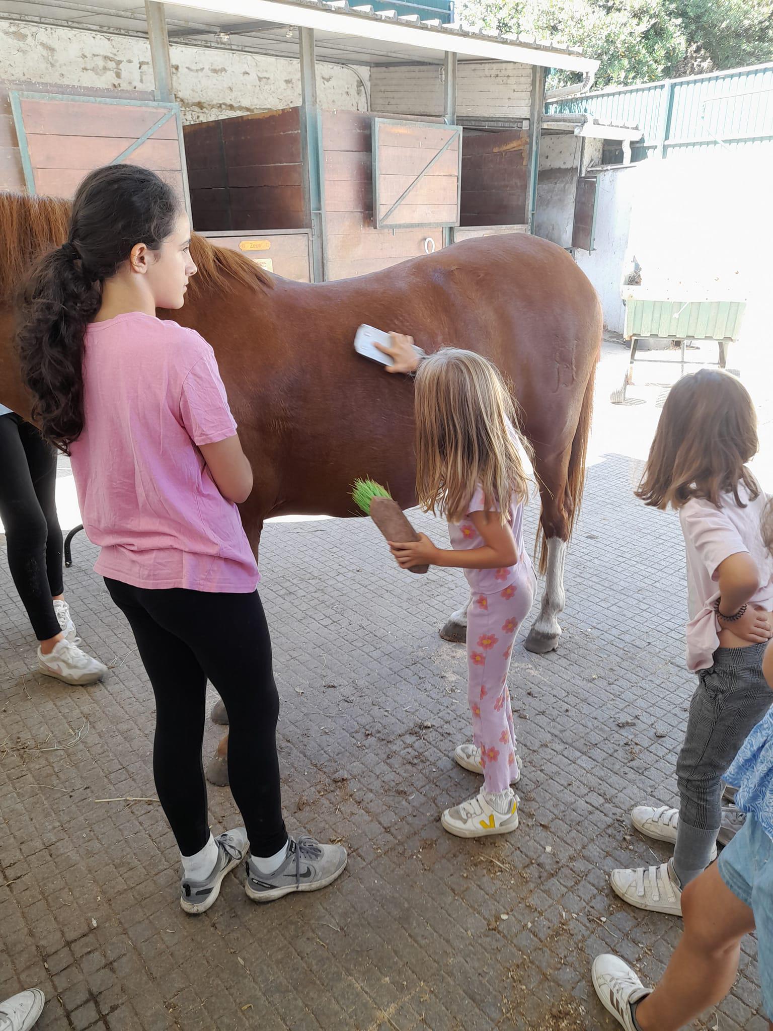 Images Academia Equestre Quinta da Pateira