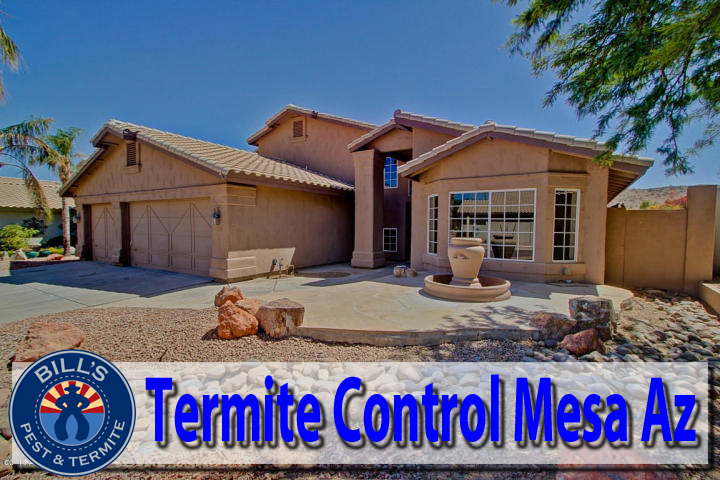 Bills Pest Termite Control Mesa Az Image