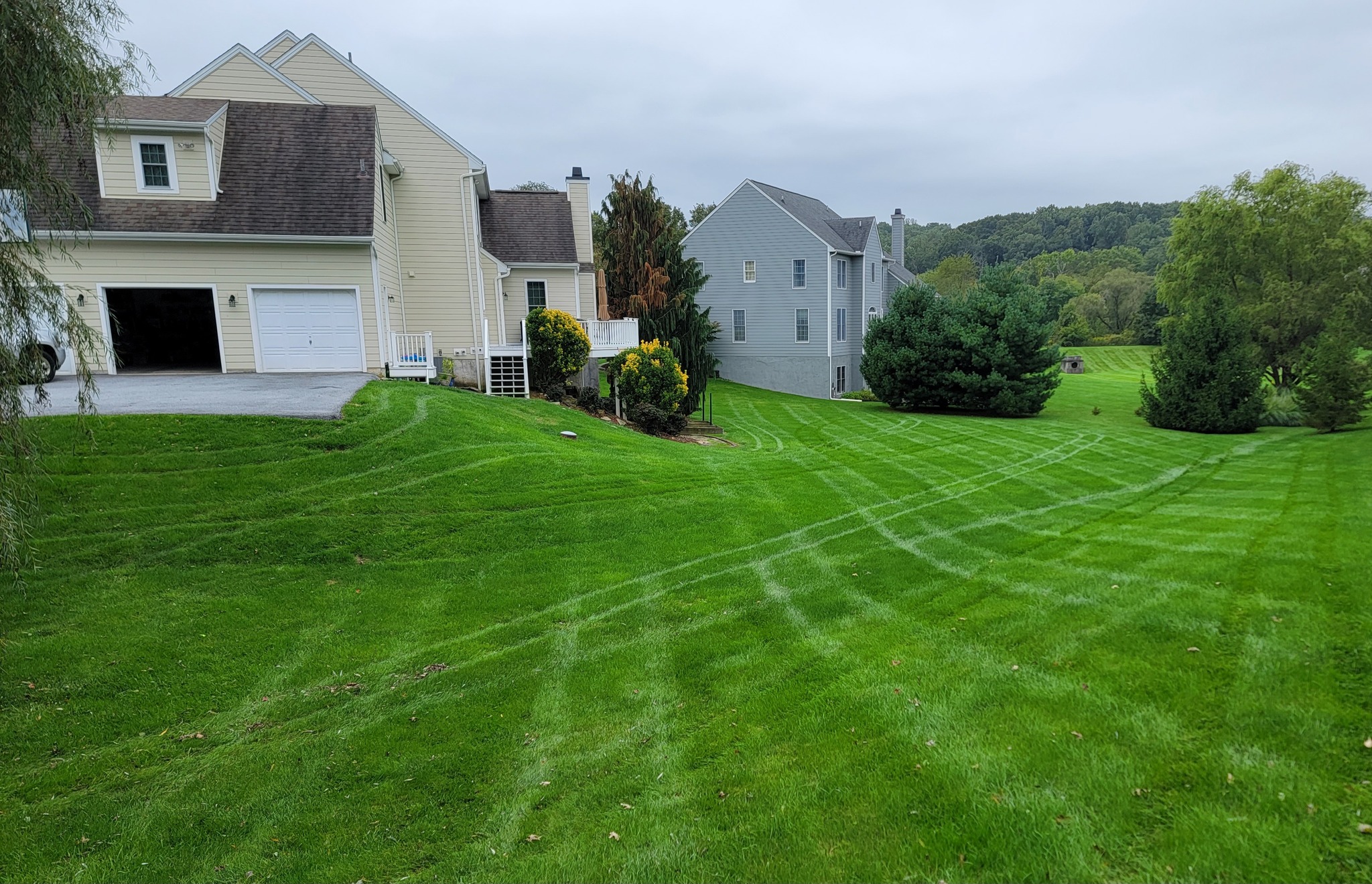 expert lawn care service in west chester pa