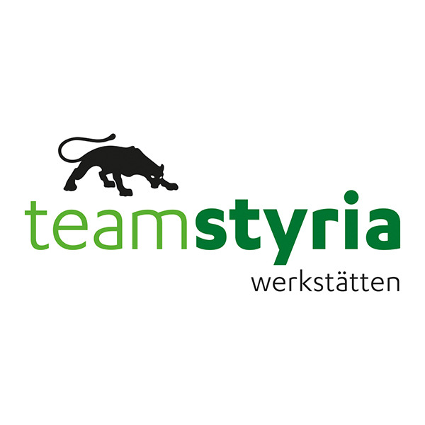 Team Styria Werkstätten GmbH