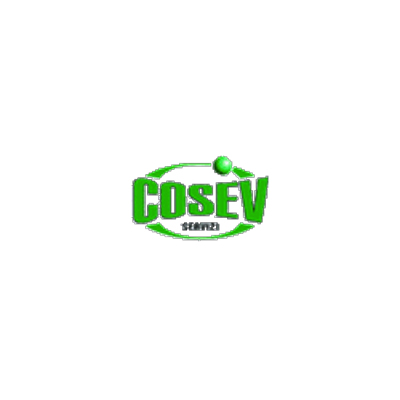 Cosev Servizi S.p.a. Logo