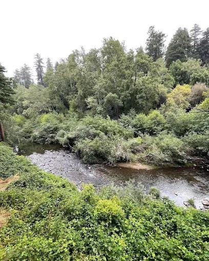 Images Santa Cruz Redwoods RV Resort