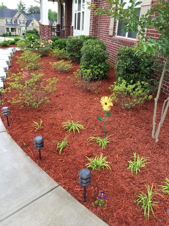 Images Tierra Bella Landscaping LLC