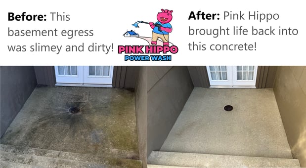 Images Pink Hippo Power Wash