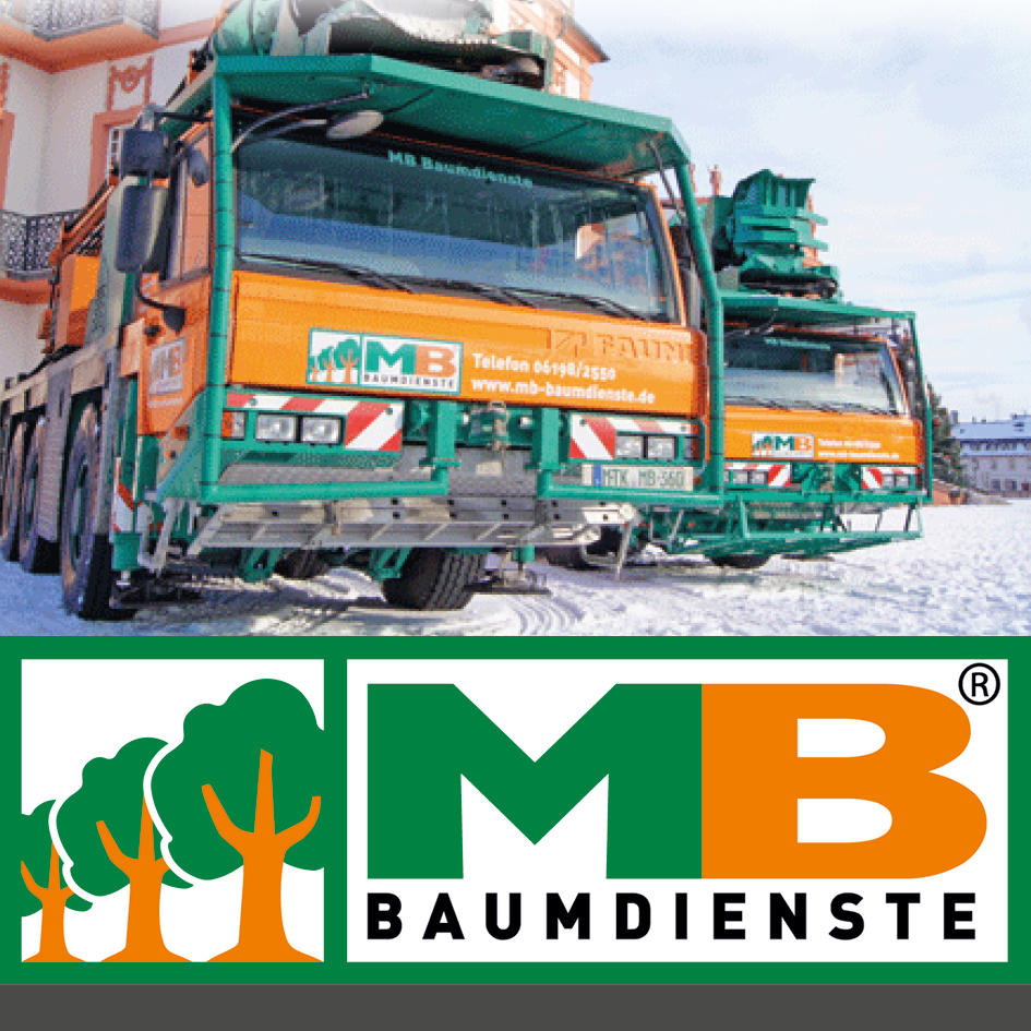 Bild 1 MB Baumdienste GmbH in Eppstein