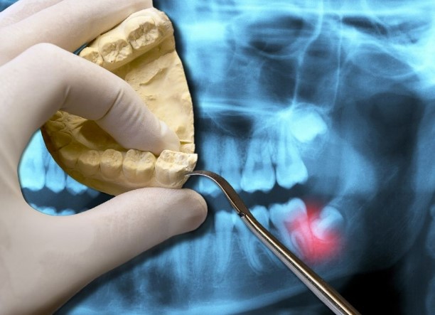Images Centro di Odontoiatria e Stomatologia Francesco Perrini