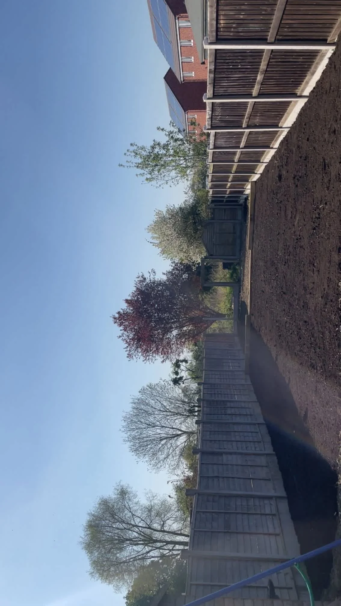 Images Oakwood Tree & Landscaping Services