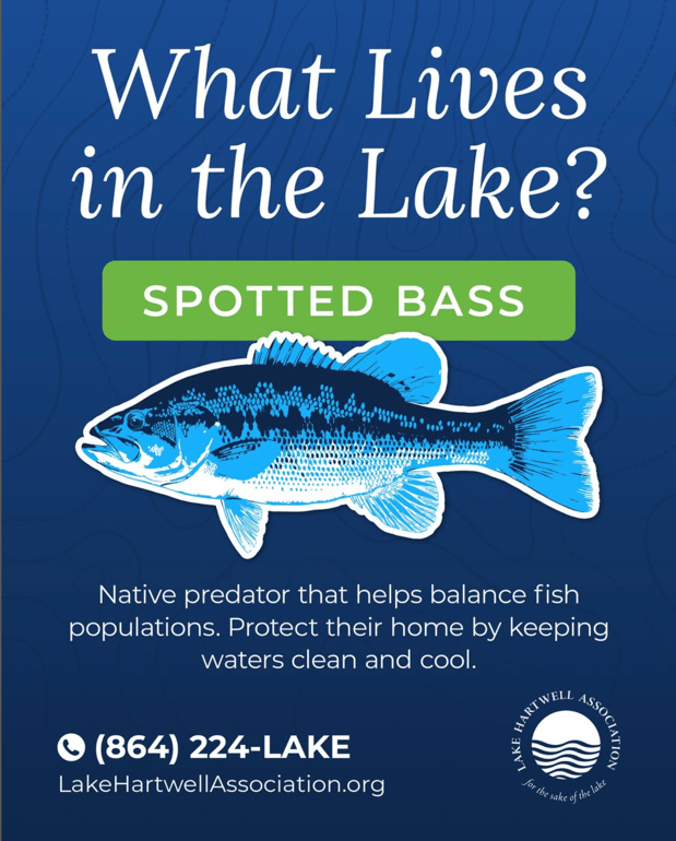 Images Lake Hartwell Association
