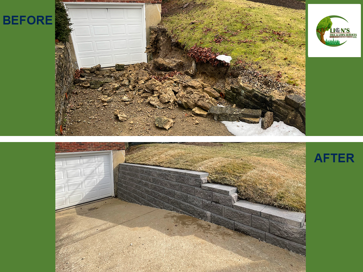 Lions Tree & Landscaping Image