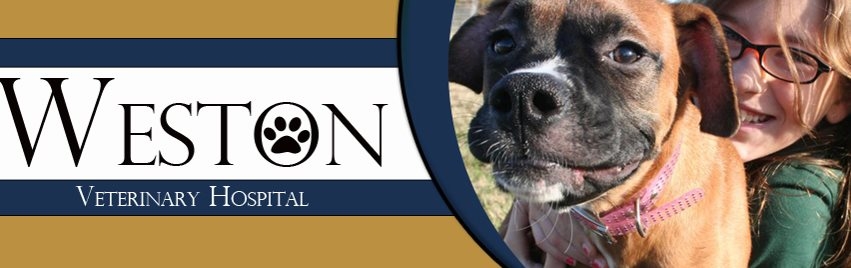 Weston Veterinary Hospital