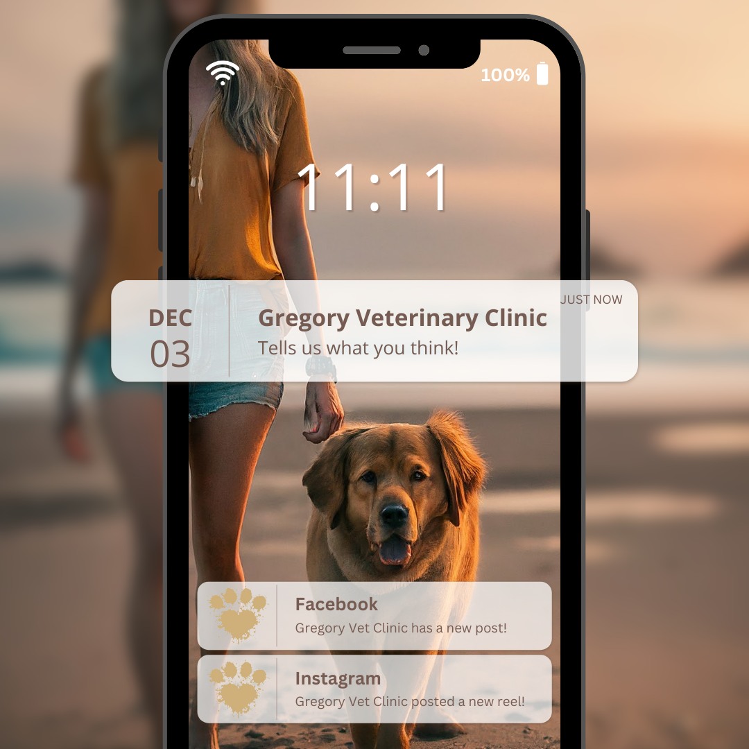 Gregory Veterinary Clinic – Digital Engagement & Social Media