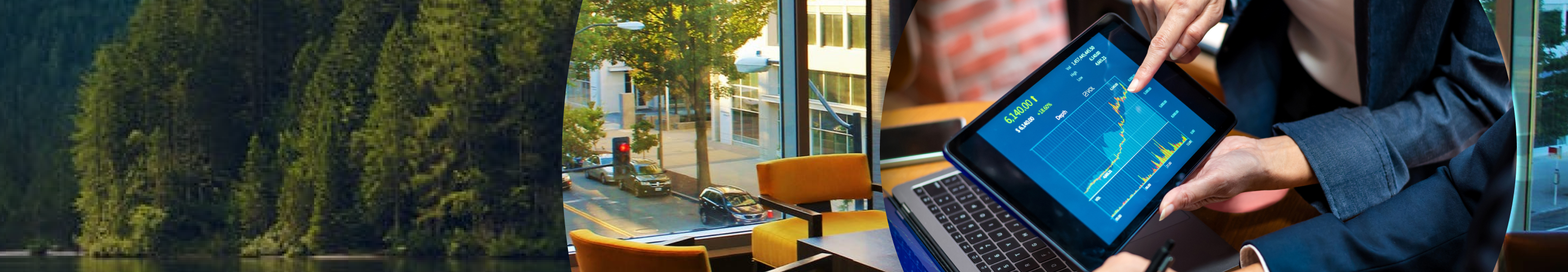 Collage featuring an image of evergreen trees, the view of a street through a window, and someone pointing to an uptrend graph on a tablet.