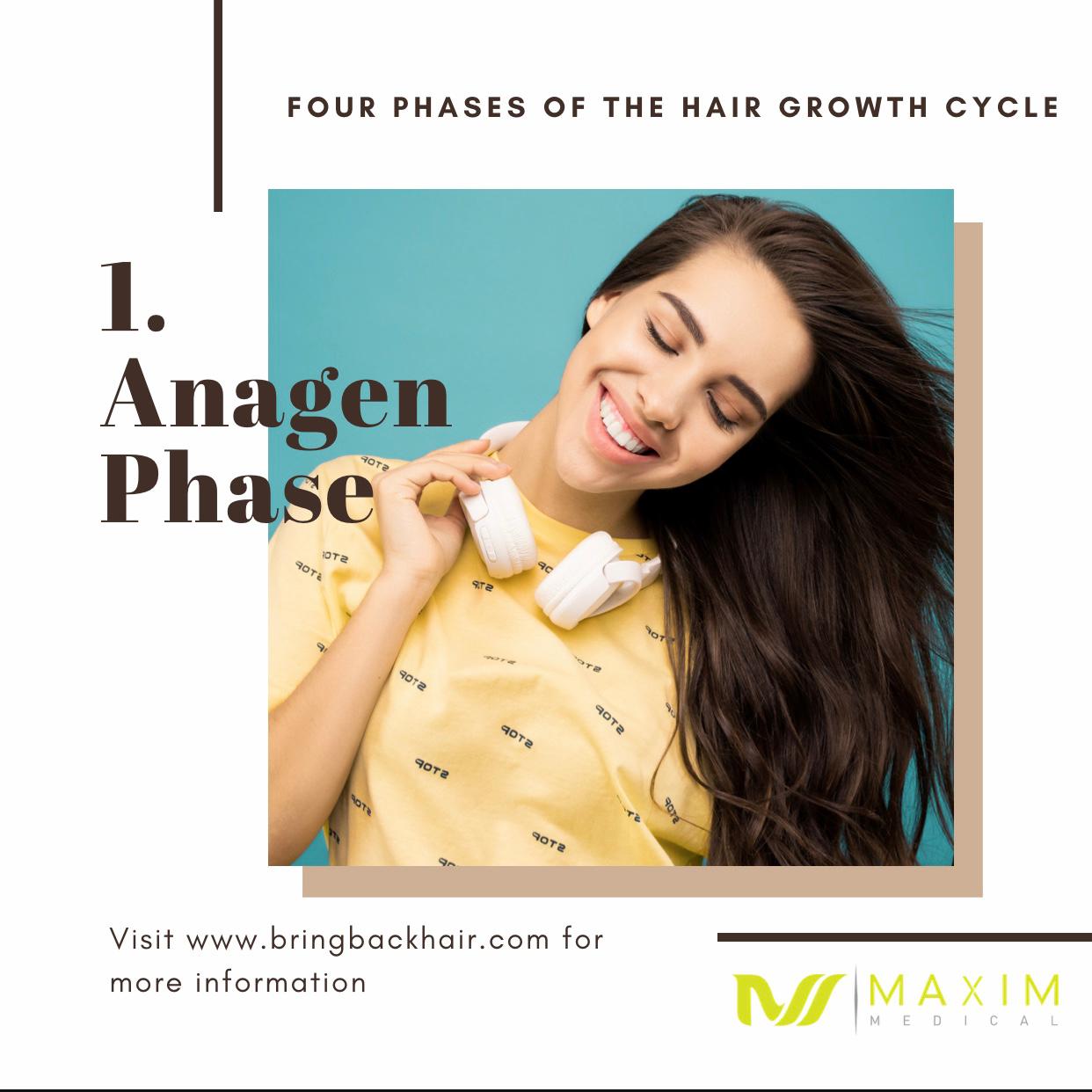 1. Anagen Phase
The Anagen stage is the state in which your hair actually grows. This occurs at an average rate of 0.5 inches per month. The amount of time a hair will remain in the anagen phase varies from person to person, although scientists estimate it is between 4-6 years for scalp hair. On the other hand, body hair is said to have shorter anagen phases. The anagen phase is particularly interesting depending on the type of follicle you are studying. In men and women with Androgenic Alopecia, the hormone Dihydrotestosterone (DHT) shortens the anagen phase and  miniaturizes the follicles on the vertex of the scalp, whereas androgenic hair, such as chest hair and beards, are dependent upon Dihydrotestosterone to grow. The anagen phase can also be cut short through a number of factors including stress, poor diet, and ageing. Once the Anagen phase ends, the Catagen phase begins