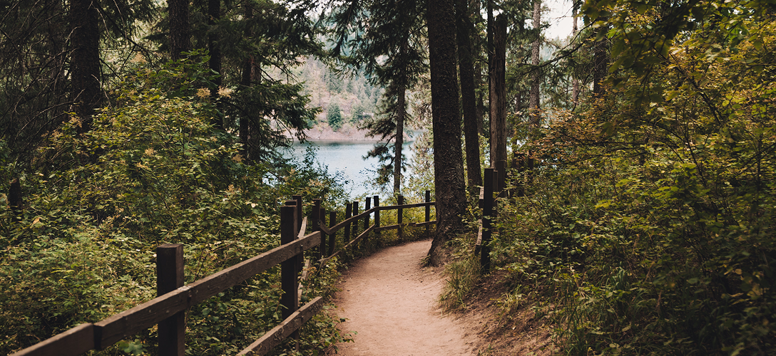 Fenced off hiking trail in the forest leading to a lake.