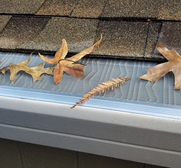 Images Standard Gutter
