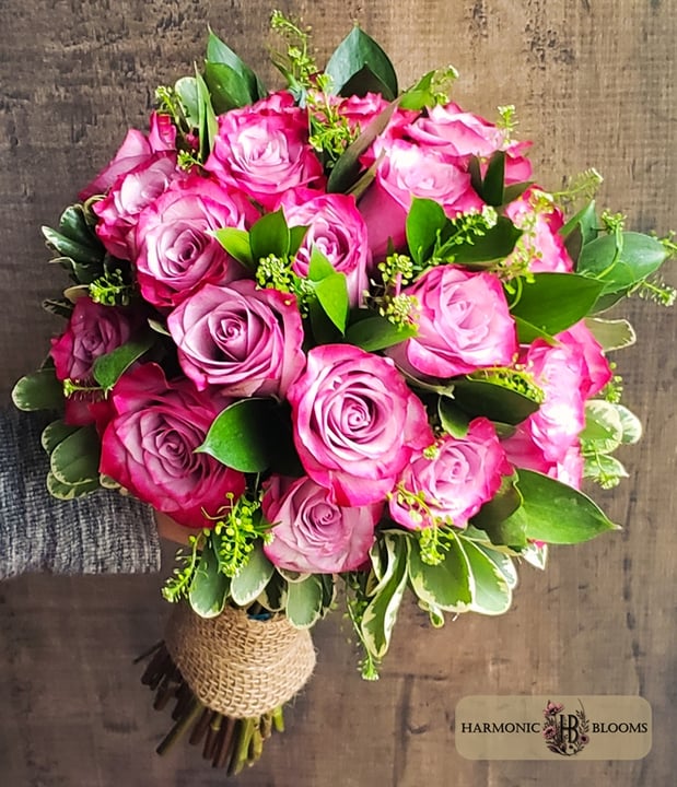 Images Harmonic Blooms