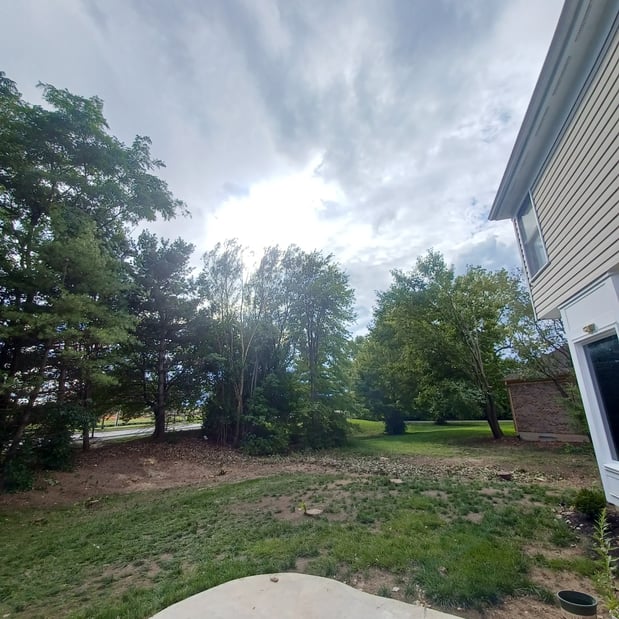 Images Rojas Chops Tree Service LLC
