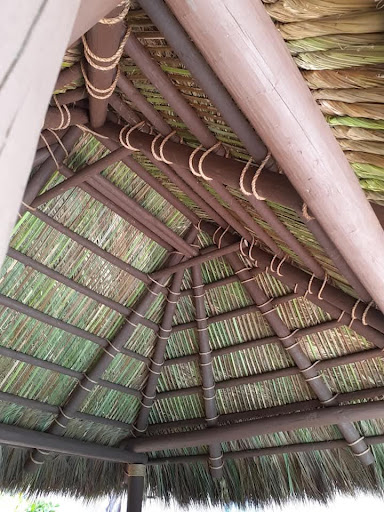 Images Tiki Hut Evolution