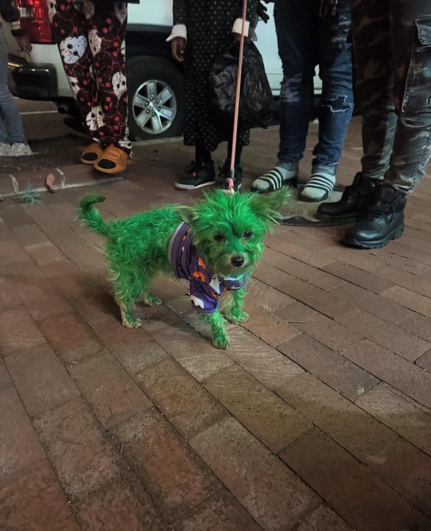 Images High Demand DC Weed Dispensary & Delivery